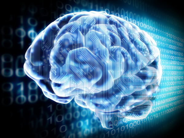 wpid-human-brain-2014-02-4-21-211.png